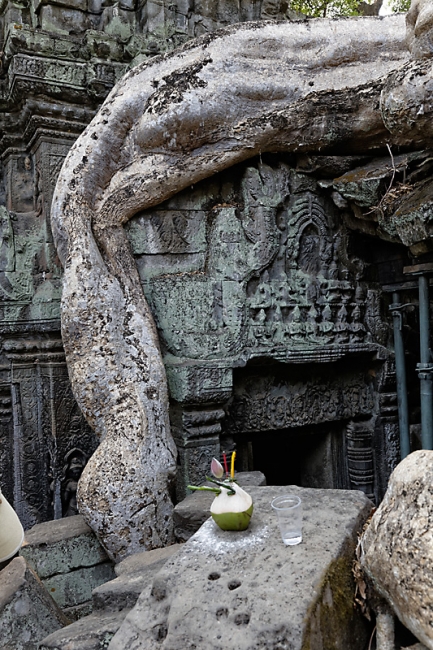 Ta Phrom et environs-063